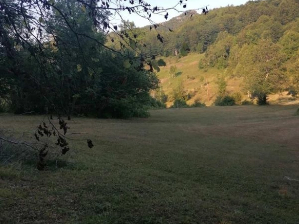 Plac 70000 m² okružen šumom