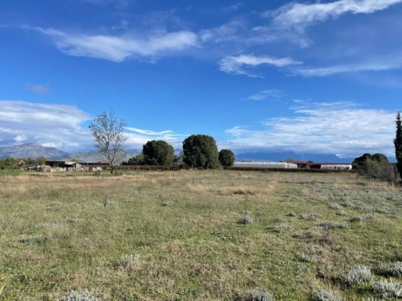Plac od 5400 m² u Golubovcima