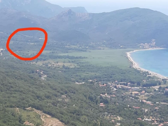 Ravan plac sa maslinama u Buljarici