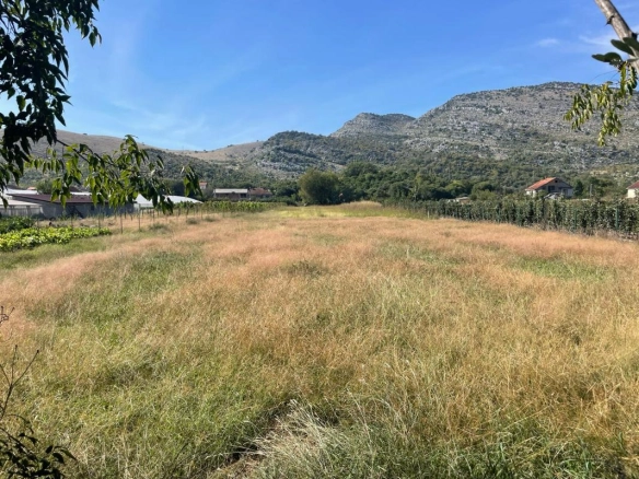 Plac 2000 m² u Grbavcima