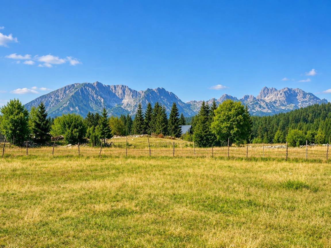 Prodaja zemljišta 751 m² – Borje, Žabljak