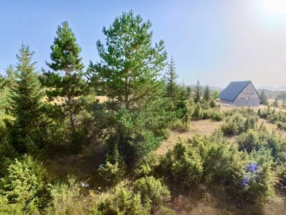 Prodaja zemljišta 751 m² – Borje, Žabljak