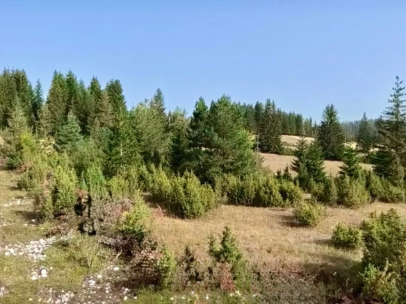 Prodaja zemljišta 751 m² – Borje, Žabljak