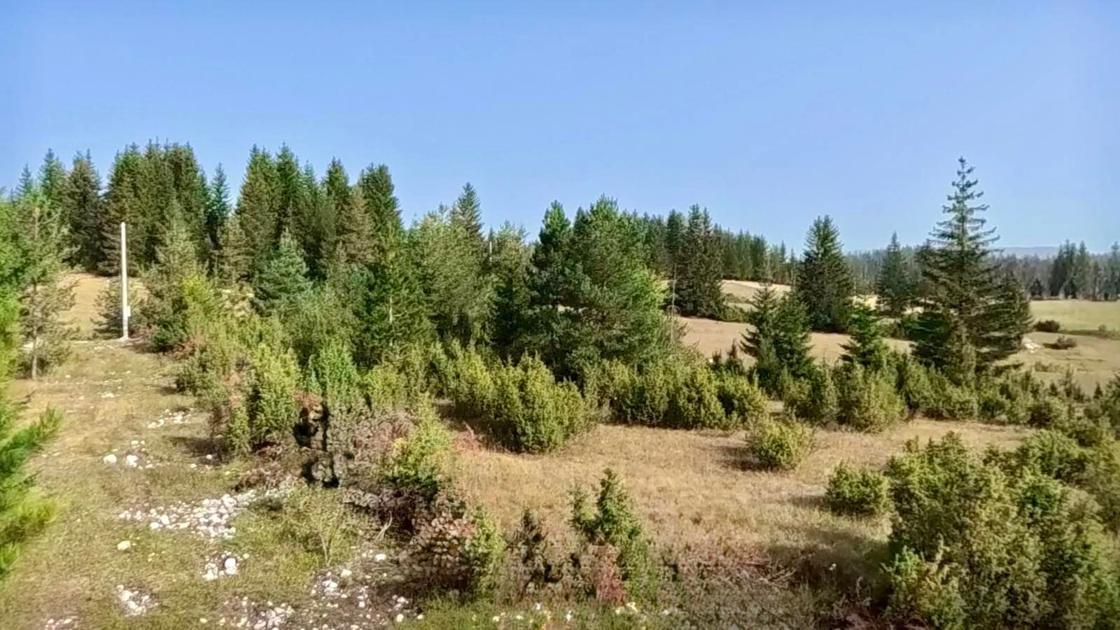 Prodaja zemljišta 751 m² – Borje, Žabljak