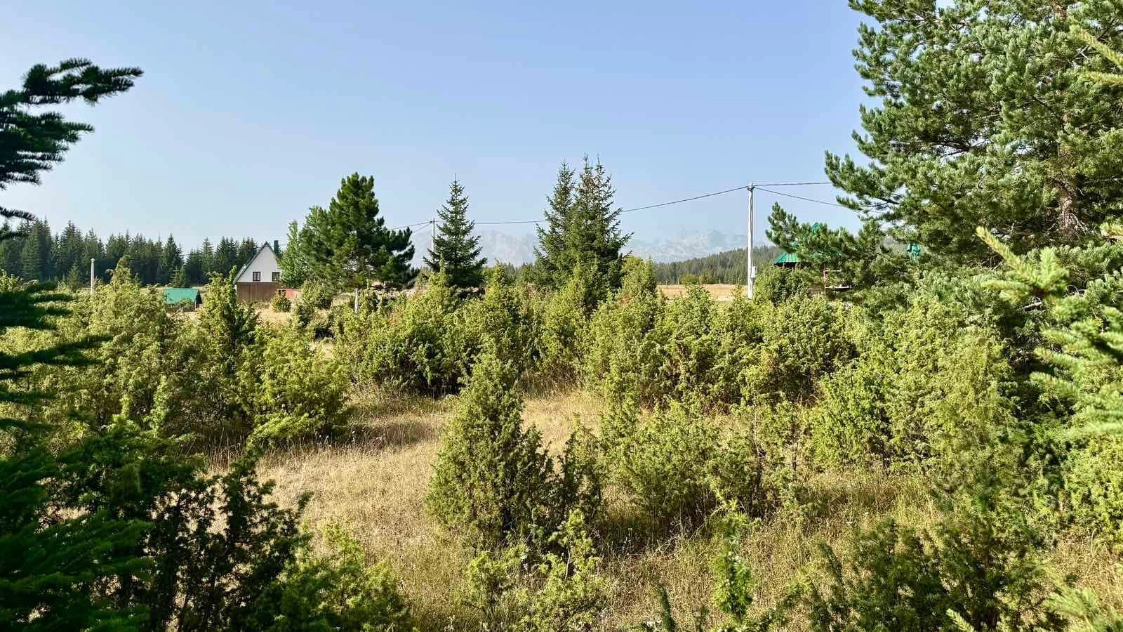 Prodaja zemljišta 751 m² – Borje, Žabljak