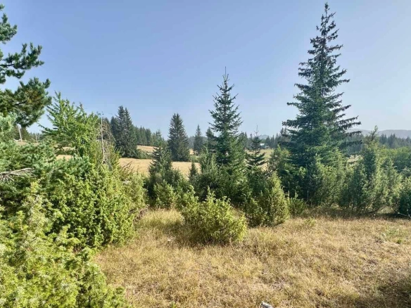 Prodaja zemljišta 751 m² – Borje, Žabljak