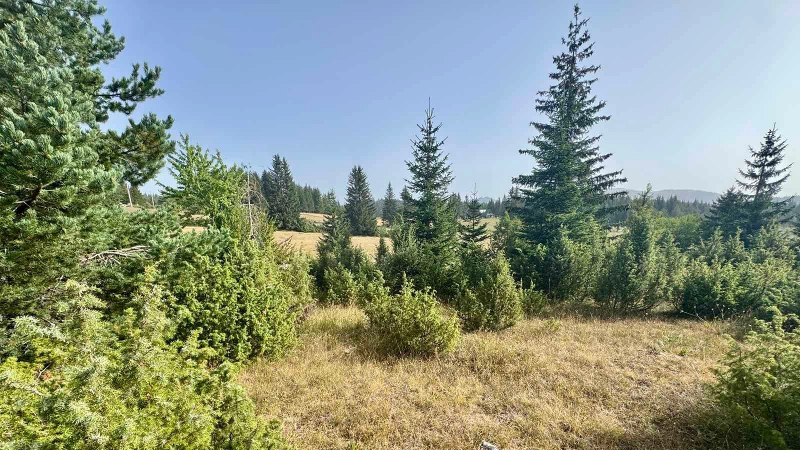 Prodaja zemljišta 751 m² – Borje, Žabljak