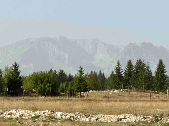 Prodaja zemljišta 751 m² – Borje, Žabljak
