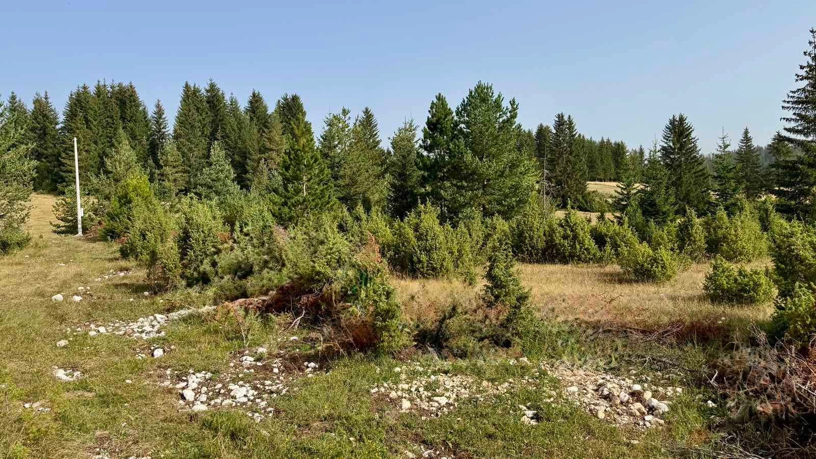 Prodaja zemljišta 751 m² – Borje, Žabljak