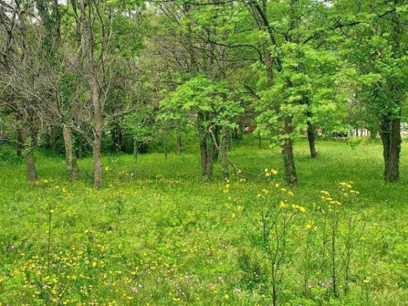 Plac od 749 m² u Petrovcu