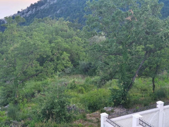 Plac u Markovićima