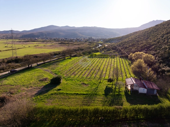 Imanje 13.000 m² sa vinogradom