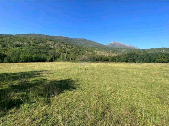 Plac 5.000 m² za gradnju kuće