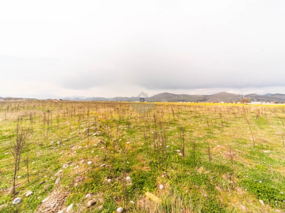 Plac 3.000 m²