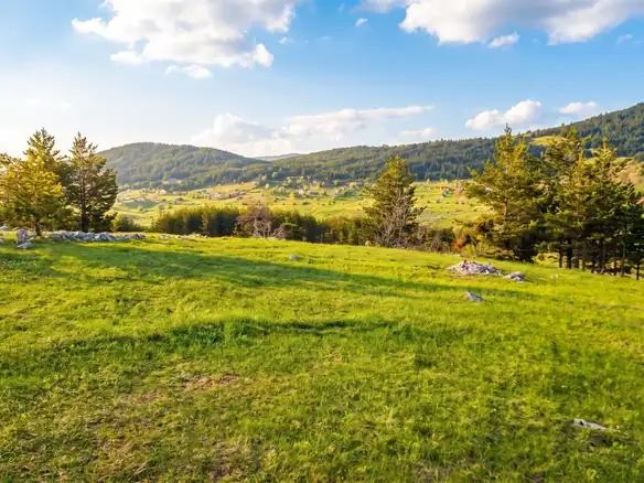 Plac 5.000 m² – Žabljak — fotografija 3