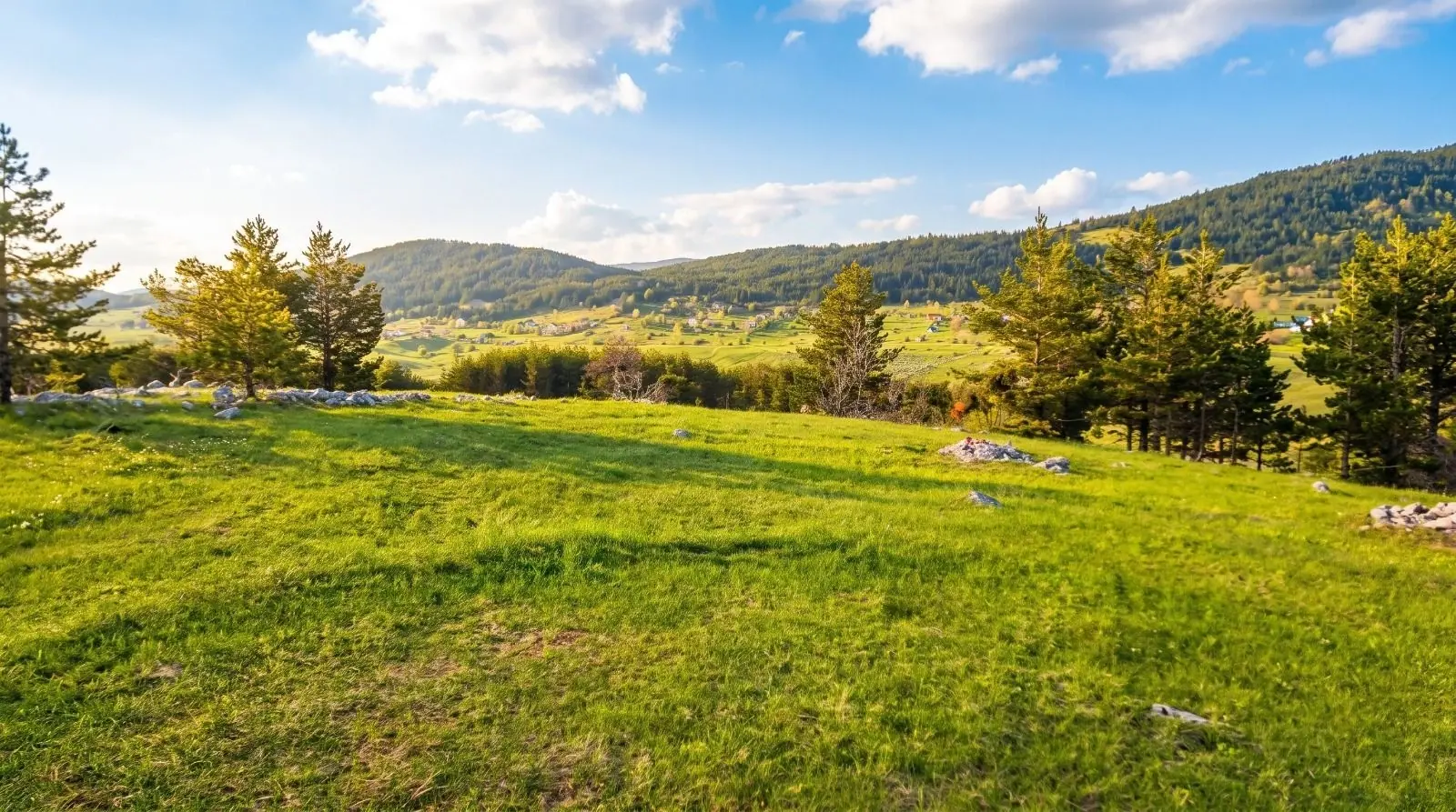 Plac 5.000 m² – Žabljak — fotografija 3