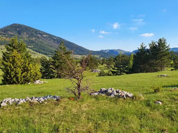 Plac 5.000 m² – Žabljak — fotografija 4