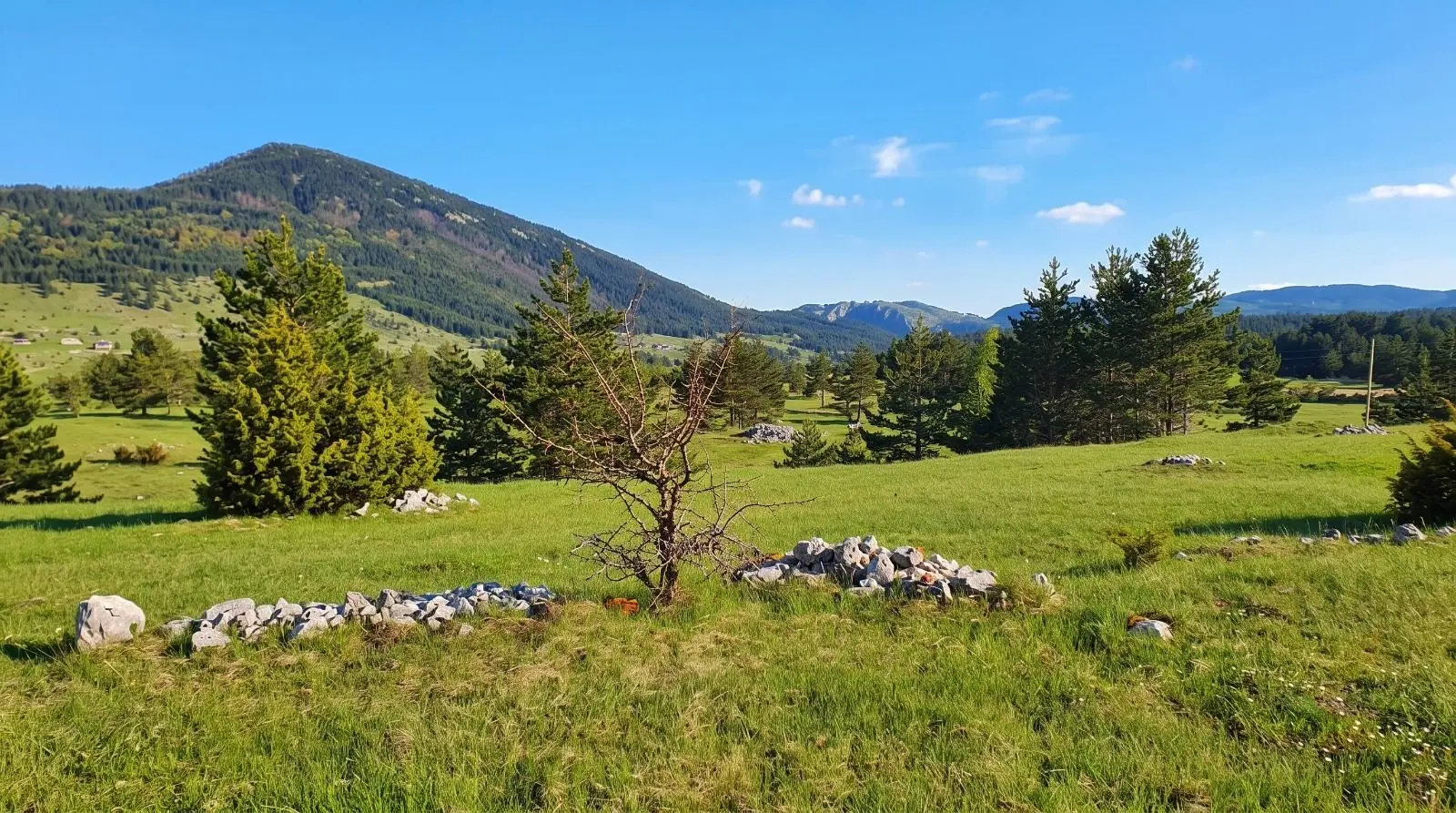 Plac 5.000 m² – Žabljak — fotografija 4