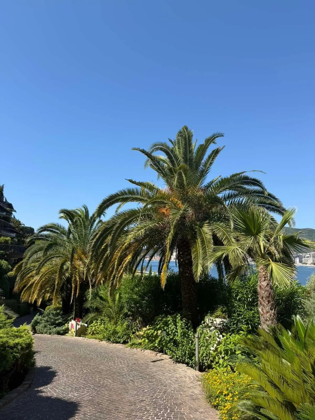 3584bb16-23aa-4b53-a7ee-a14c29fc5252 Jednosoban stan 78 m² – Budva — fotografija 10