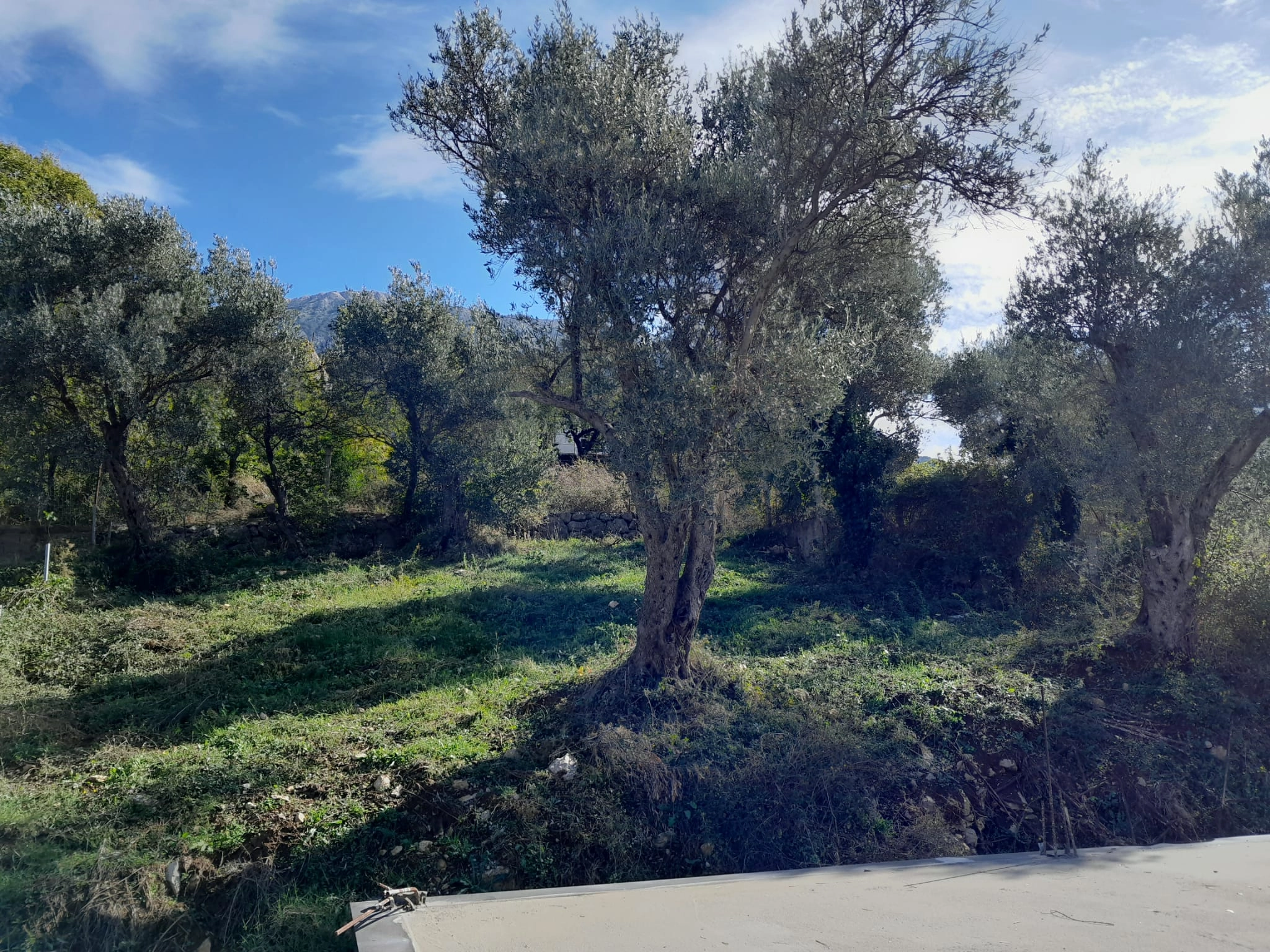 Kuća 79 m² – Dobra Voda, Bar — fotografija 2