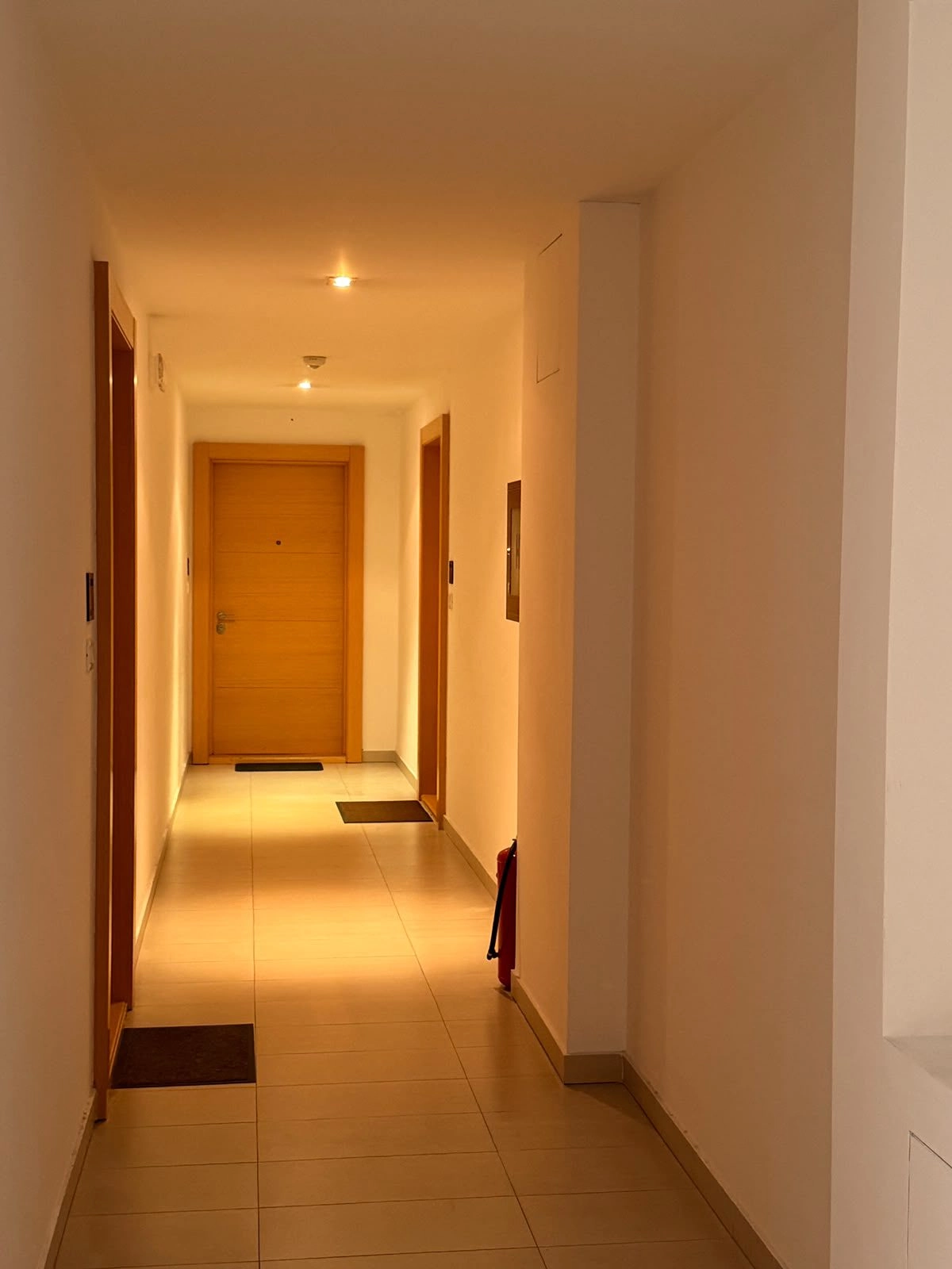 Jednosoban stan 61 m² – Budva — fotografija 11