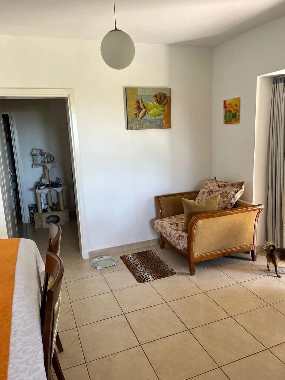 Kuća 217 m² – Budva — fotografija 18