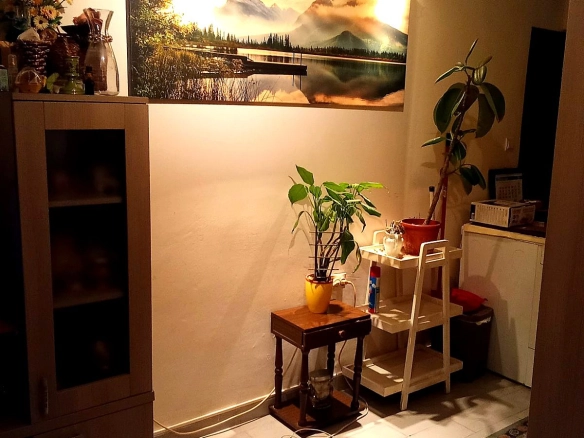 Jednosoban stan 28 m² – Herceg Novi — fotografija 3