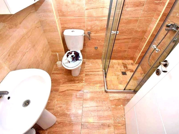 Dvosoban stan 53 m² – Igalo, Herceg Novi — fotografija 13