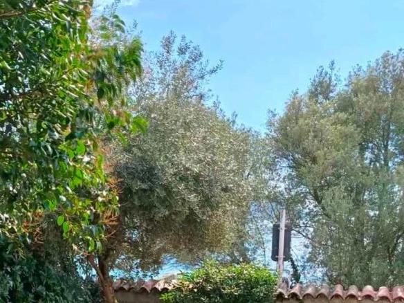 Jednosoban stan 33 m² – Savina, Herceg Novi — fotografija 2