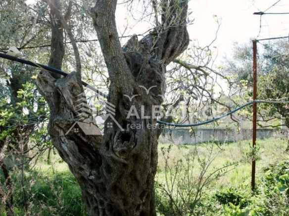 Plac 941 m² – Šušanj, Bar — fotografija 6