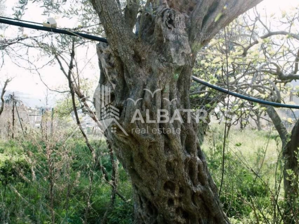Plac 941 m² – Šušanj, Bar — fotografija 9