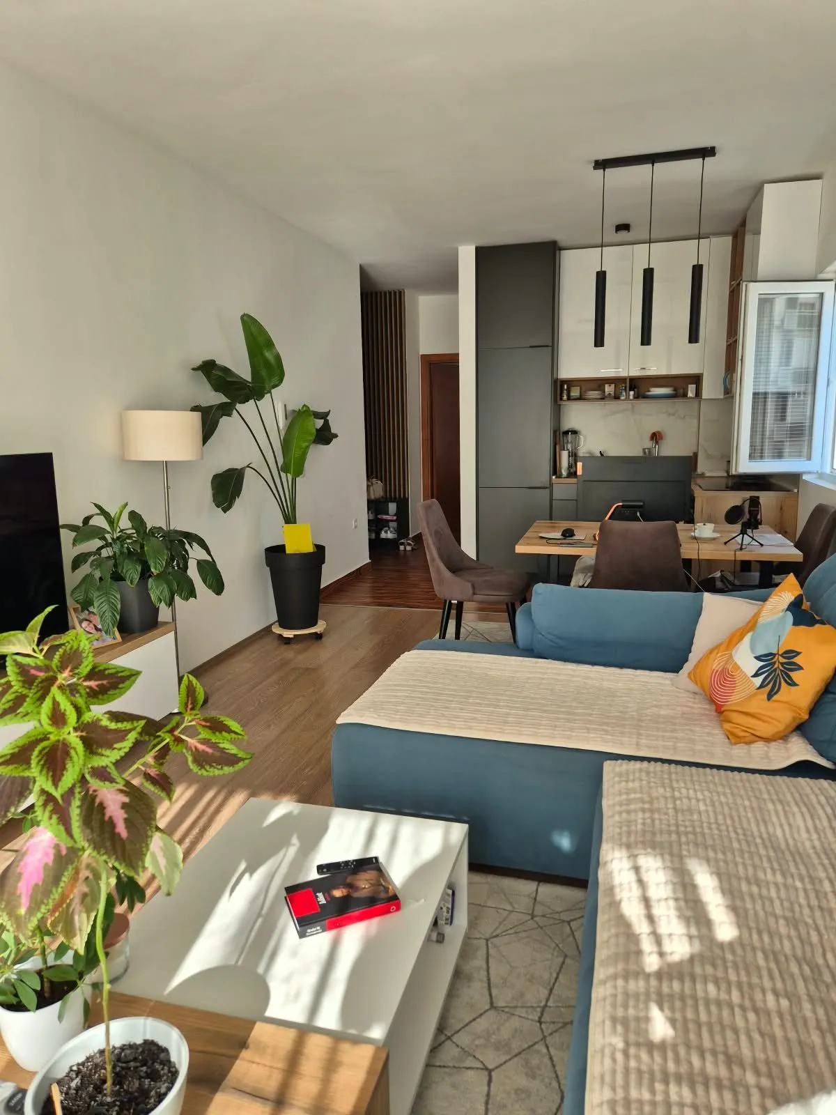 Izdavanje: Jednosoban stan 48 m² – Dubovica, Budva — fotografija 10