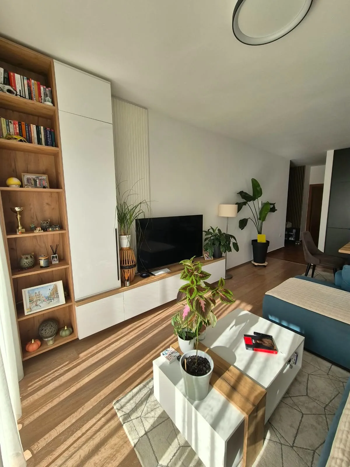 Izdavanje: Jednosoban stan 48 m² – Dubovica, Budva — fotografija 13