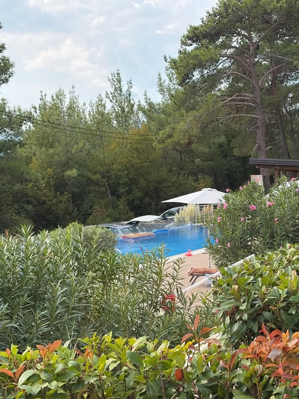Bastenska-garsonjera-u-Adriatic-Heights-Kavac-Kotor-9 Garsonjera 27 m² – Kavač, Kotor — fotografija 10