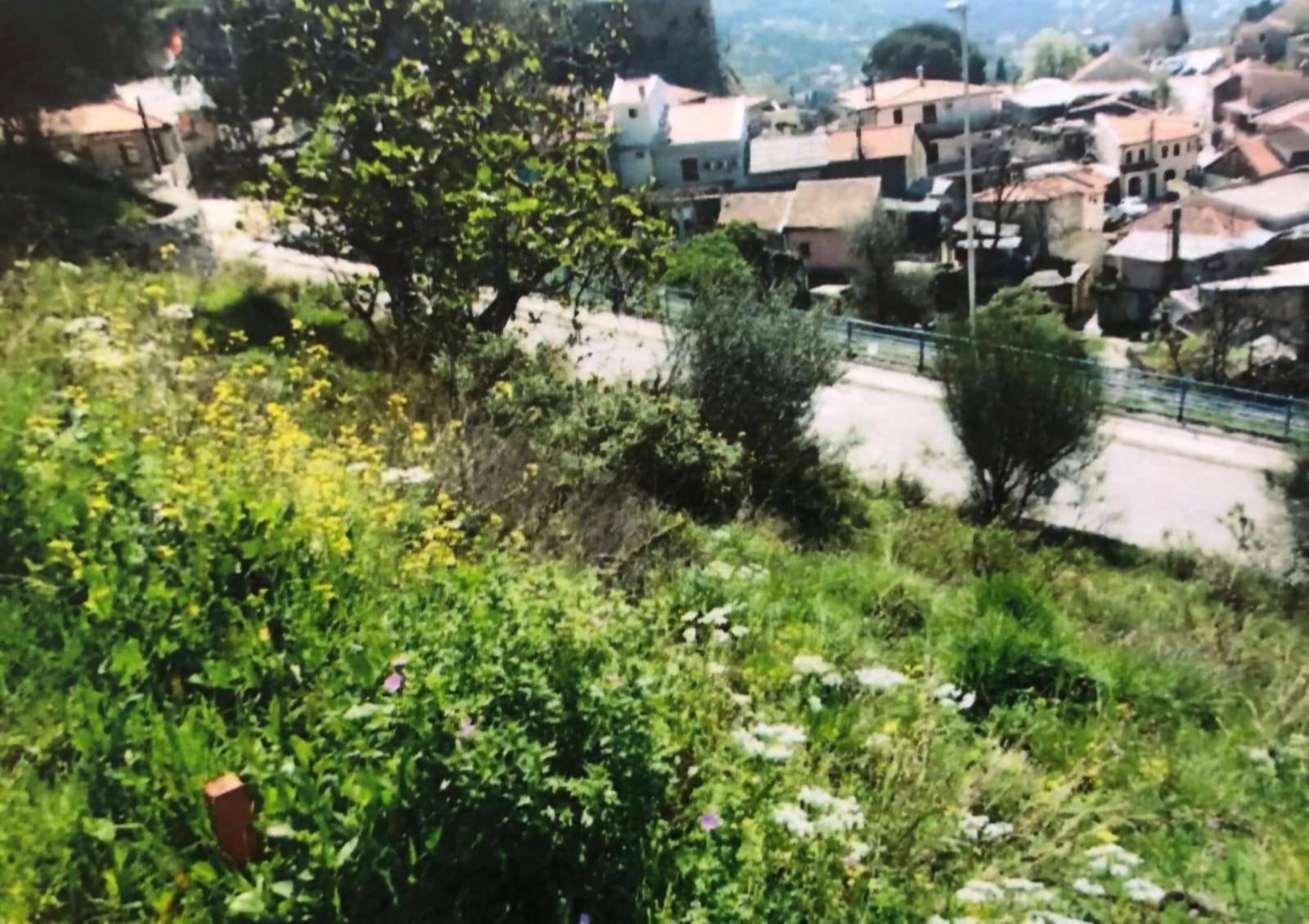 Plac-sa-rusevinom-stare-kuce-Stari-Bar Plac sa ruševinom stare kuće