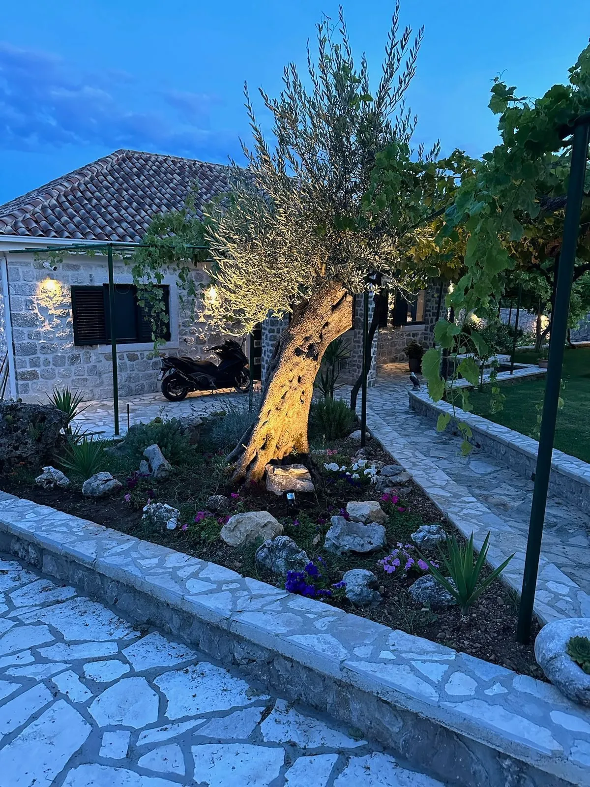 Imanje-sa-tri-kuce-i-bazenom-Radanovici-Kotor-8 Kuća 2.660 m² – Radanovići, Kotor — fotografija 9