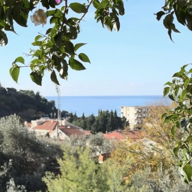 Dvosoban stan 56 m² – Petrovac, Budva — fotografija 3