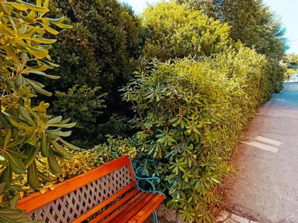 Jednosoban stan 63 m² – Kotor — fotografija 12