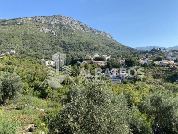 Urbanizovani plac sa maslinikom u Šušnju