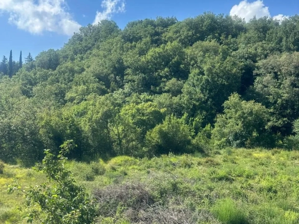 Plac 2.420 m² – Radanovići, Kotor — fotografija 4