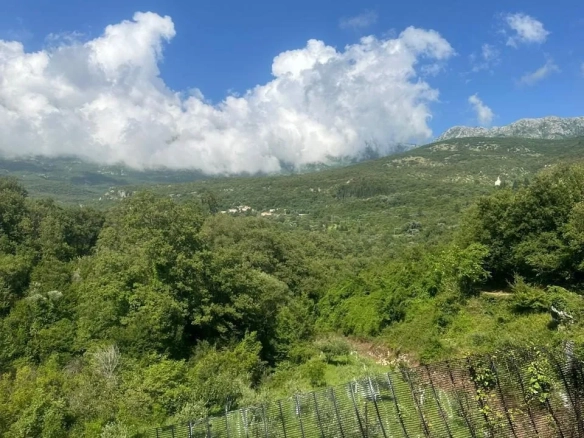 Plac 2.420 m² – Radanovići, Kotor — fotografija 6