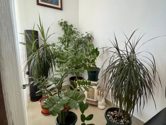 Dvosoban stan 86 m² – Podkošljun, Budva — fotografija 12