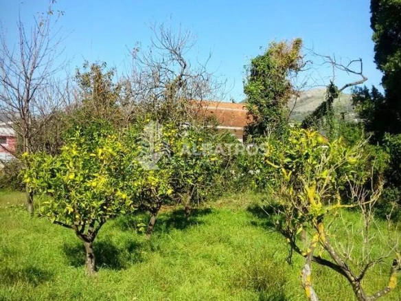 Plac 2.460 m² – Polje, Bar — fotografija 2