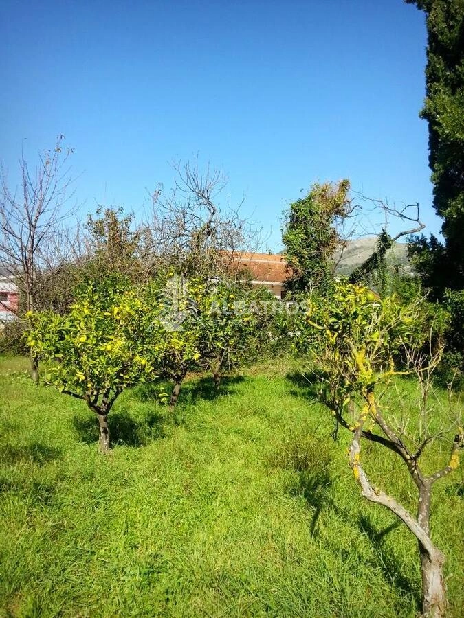 Plac 2.460 m² – Polje, Bar — fotografija 2