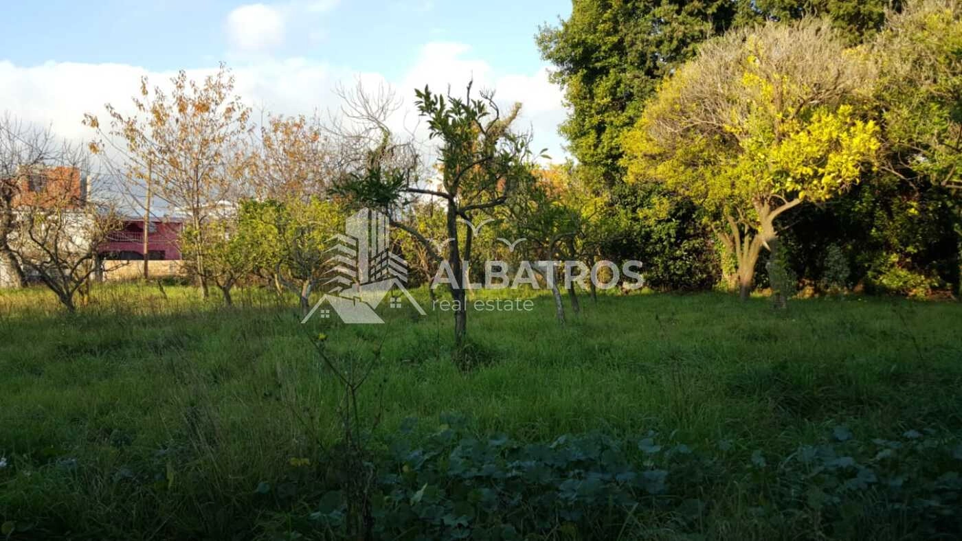 Plac 2.460 m² – Polje, Bar — fotografija 4