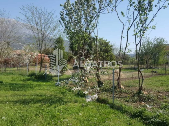 Plac 2.460 m² – Polje, Bar — fotografija 5