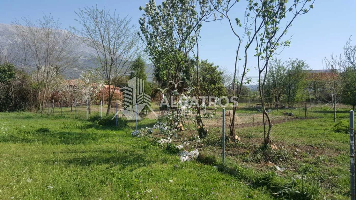 Plac 2.460 m² – Polje, Bar — fotografija 5