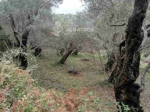Plac 2.250 m² – Ulcinj — fotografija 3