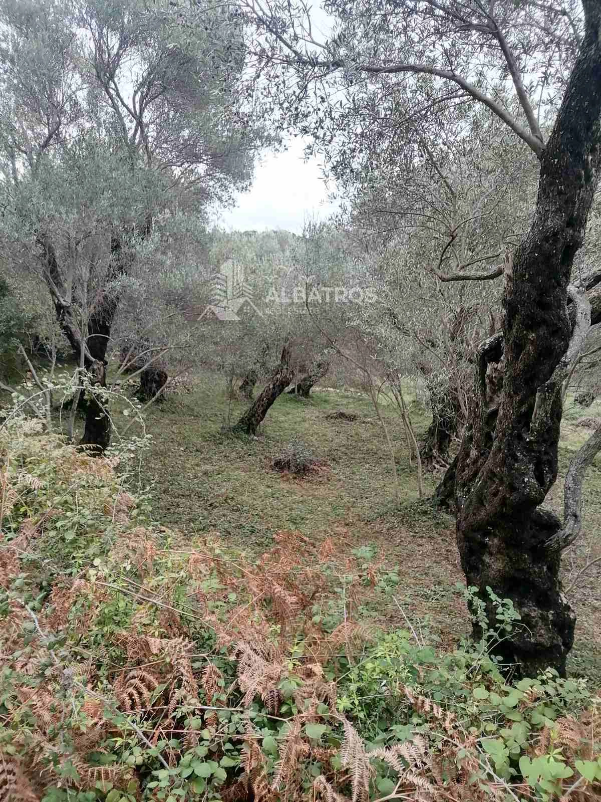 Plac 2.250 m² – Ulcinj — fotografija 3