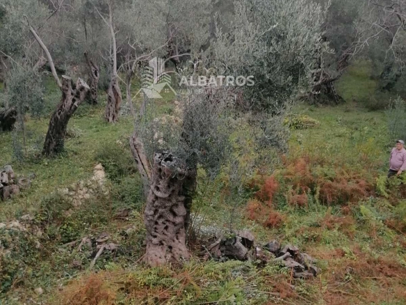 Plac 2.250 m² – Ulcinj — fotografija 7